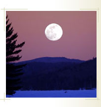 Slideshow Image 2